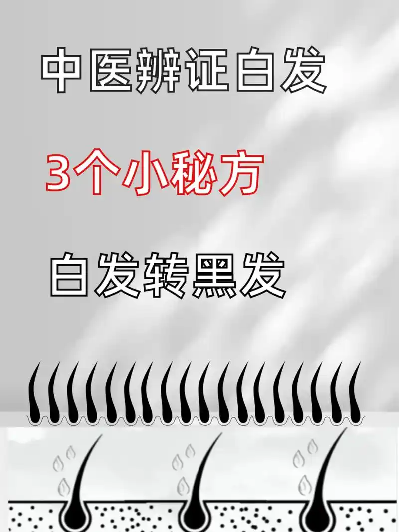 中医辨证白发,3个小秘方,白发转黑发  现在的白头发问题,不仅是中老年