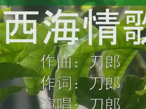 刀郎的歌迎着歌迷的心情让人热泪盈眶《西海情歌》