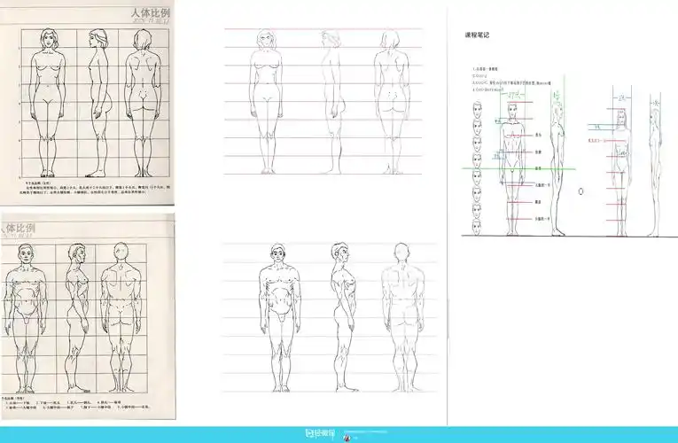 古风插画之人体比例