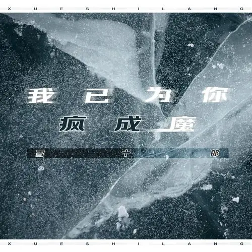 雪十郎我已为你成疯成魔