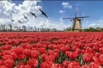 荷兰鲜花王国电子相册(汇声绘影iphone版制作)_百度视频搜索