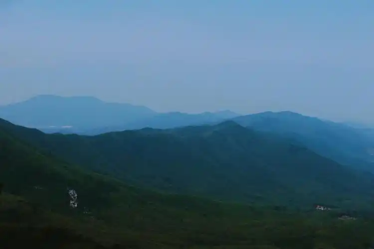 千万别去宜兴竹海