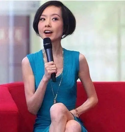 鲁豫走过半生归来仍是一人两段婚姻孩子是她最大的遗憾