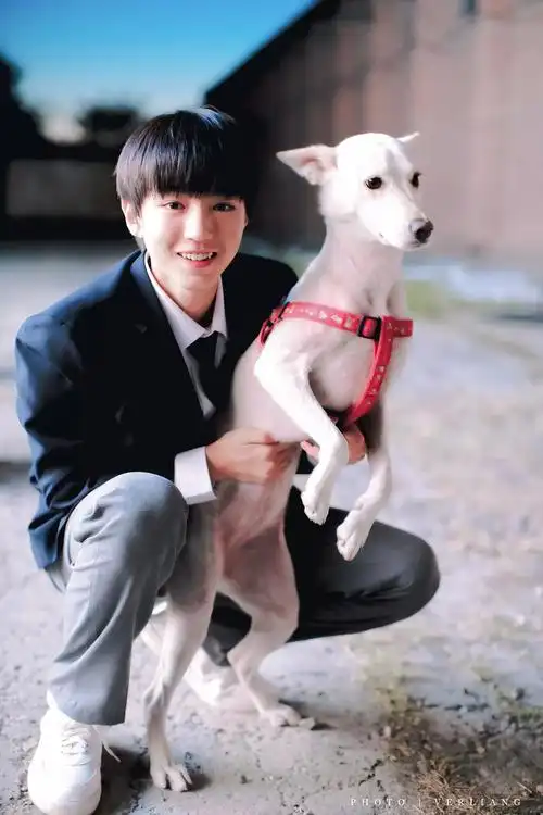 纪念一下这个拍小别离的叫李想的小男孩