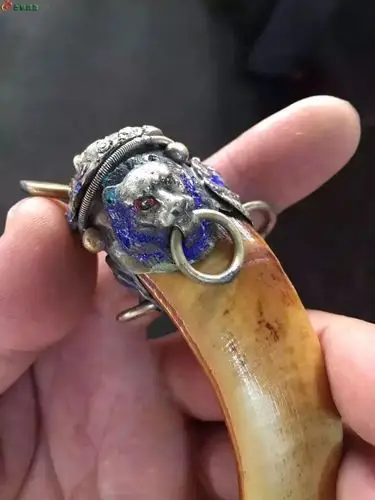 一个野猪牙辟邪