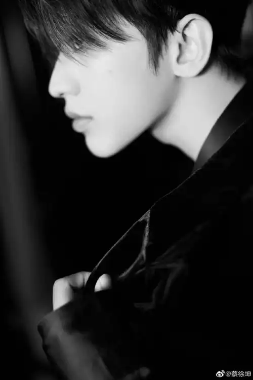 蔡徐坤黑白侧颜杀镜面写真 暗黑禁欲氛围感满满