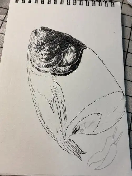钢笔画鱼头