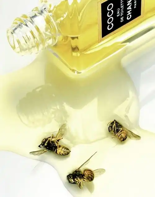 joerg kritzer 创意广告摄影欣赏 - 广告摄影 - cnu视觉联盟