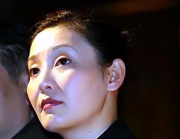 许晴|沈星|冯小刚|张静初|王志文|一路朝阳_网易订阅