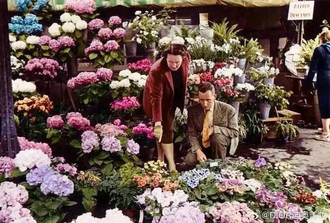 的时装设计大师克里斯汀·迪奥(christian dior)先生在"二战"后崛起