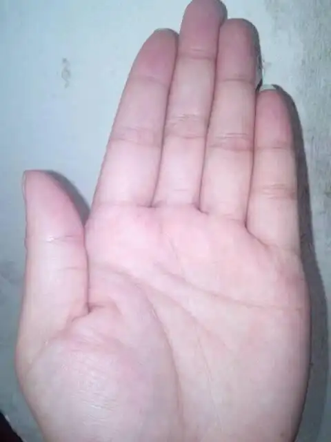 6,好命的女人手相图解