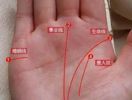 生命线越长寿命越长? 揭秘长寿的4个迹象