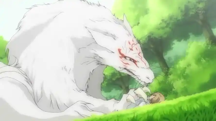 碎碎念的相册-夏目友人帐