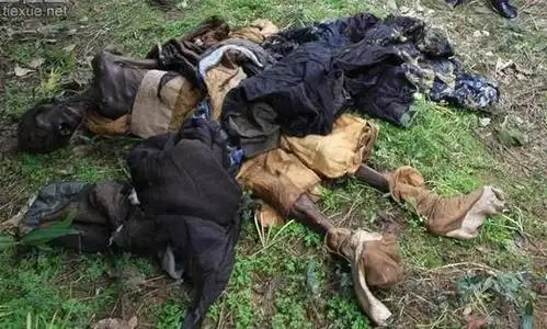探秘95年成都僵尸事件始末【组图】