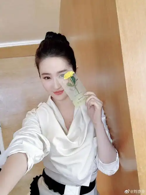 刘亦菲高颅顶丸子头