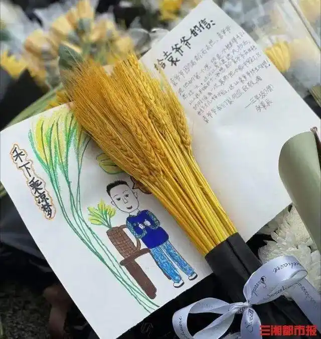 长沙一座城市与袁隆平的告别