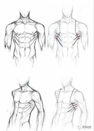 【绘画素材】大饱眼福!一大波男生的腹肌绘画参考!
