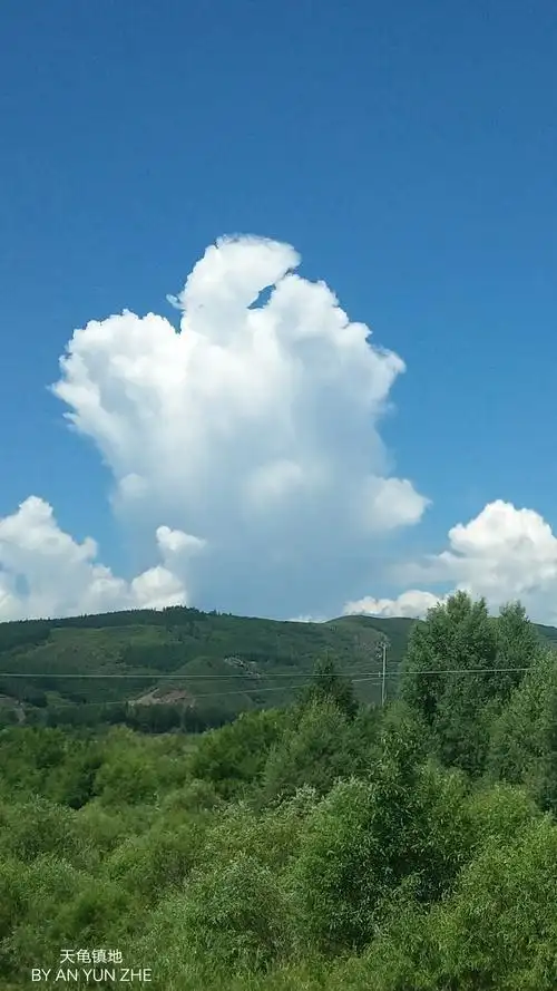 蓝天白云大草原 摄影 盛世平安