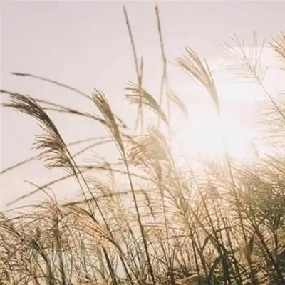 治愈系风景头像高清又有趣 最新版的ins文艺小清新的风景头像_风景