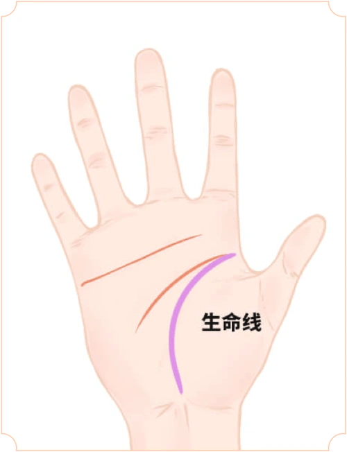 生命线,感情线,智慧线并称为掌内三大线,主导着一个人的命运走向.