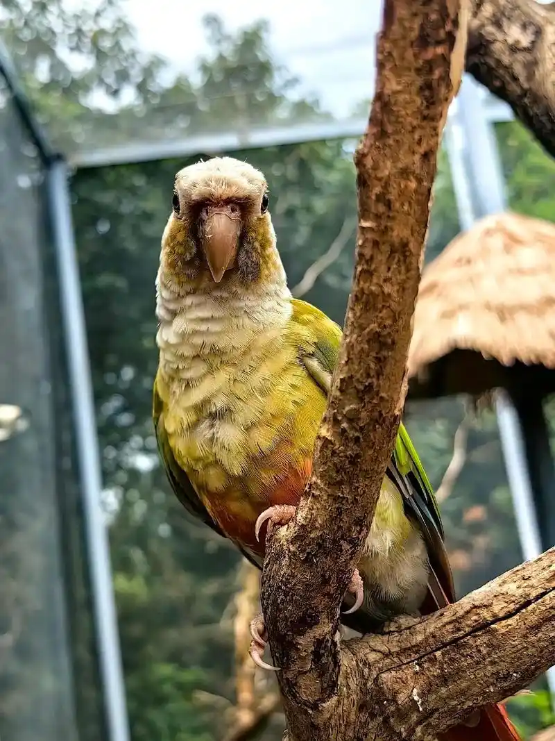 南山动物园 - 抖音