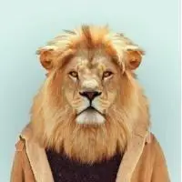 兽头人身西装系列头像_微信头像图片大全