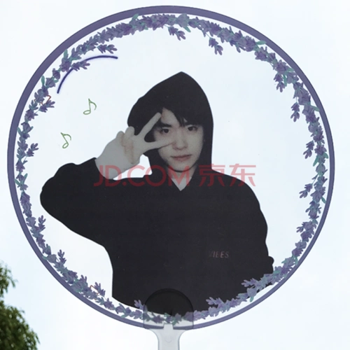 易烊千玺扇子tfboys周边王源同款春日集应援透明手持扇 千玺【14】
