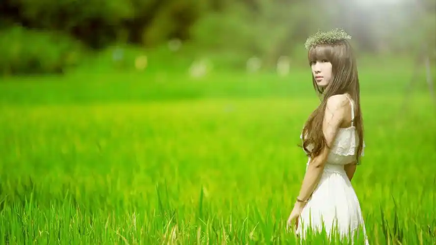 长头发女孩美女,爱情领域,绿色草地,阳光桌面壁纸