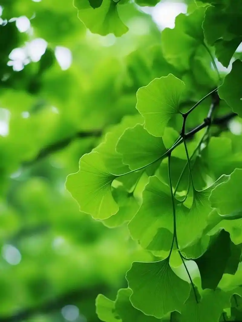 美图分享,适合做屏保,壁纸.