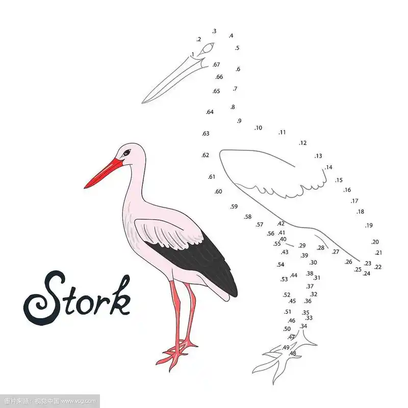 教育游戏连点画鹳鸟