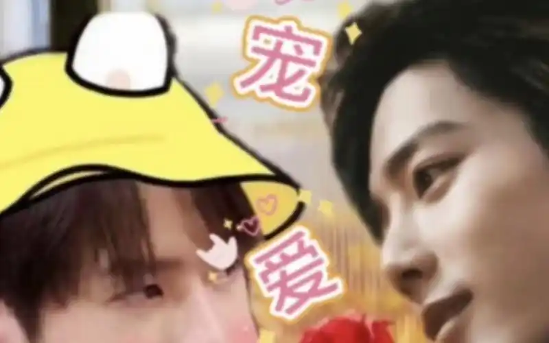 宠爱 134 宠妻狂魔肖战vs小傻子王一博 战山为王 生子 双洁