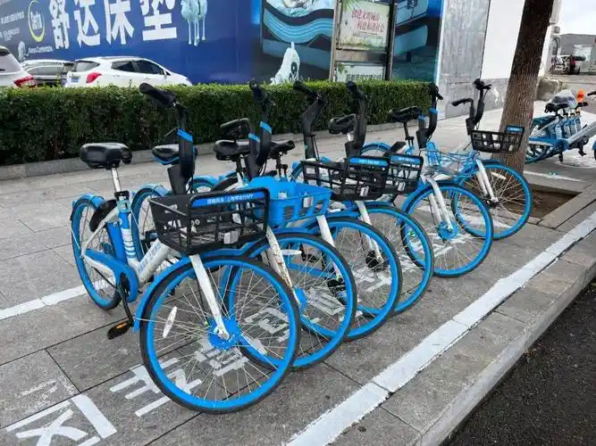 顺义哈啰共享单车涨价了?记者核实_优惠_王帆_居民