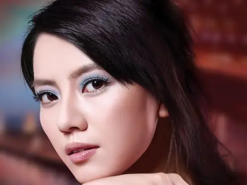 高圆圆壁纸图片