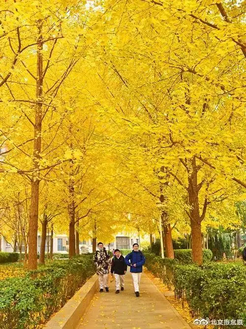 东花市街道黄昏美景_手机搜狐网