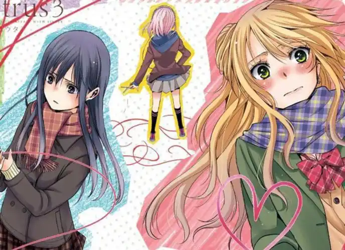 citrus柑橘味香气