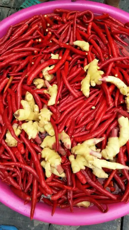 贵州黔东南特产农家妈妈自做手工酸辣椒酸广椒泛广椒糟辣3斤