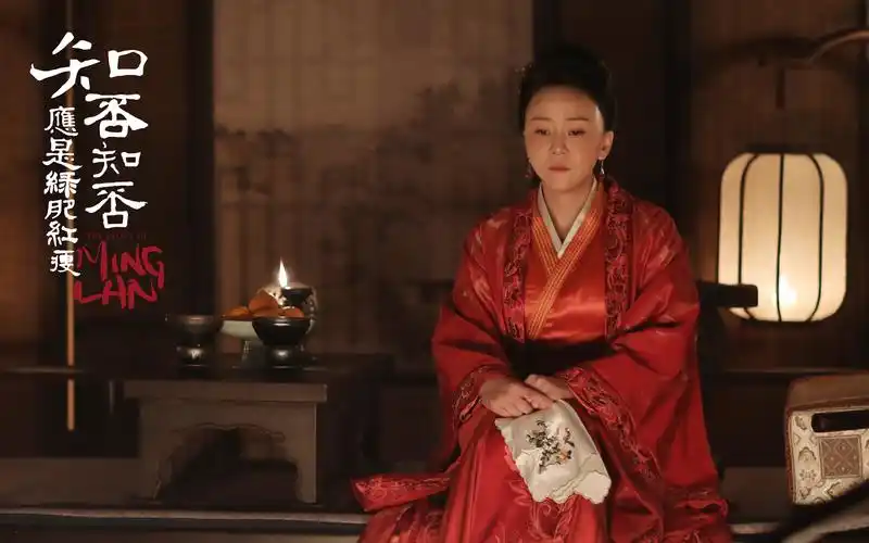 《知否知否应是绿肥红瘦》王一楠剧照图片壁纸