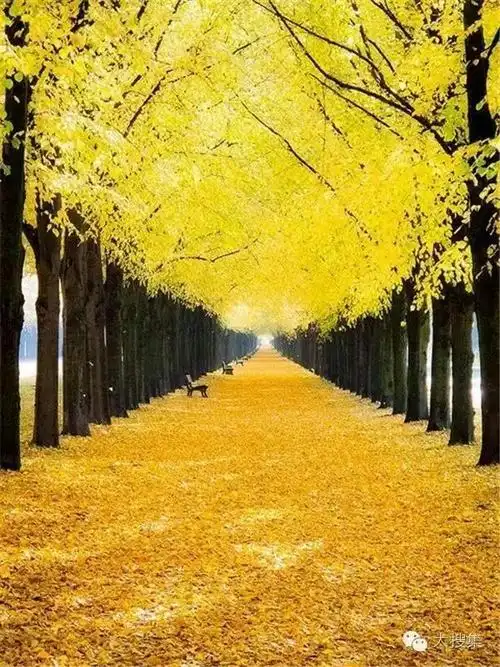 最美的风景在路上,也在心上