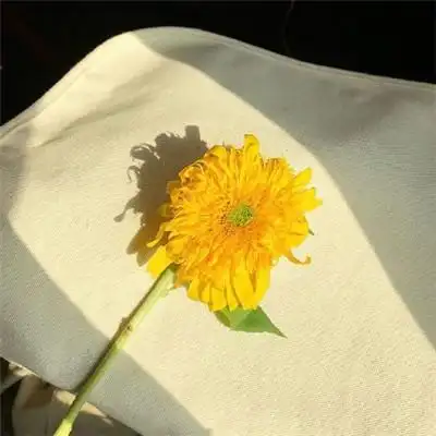 2018最火爆微信头像,最唯美最精彩的高清微信头像,网友都说好看