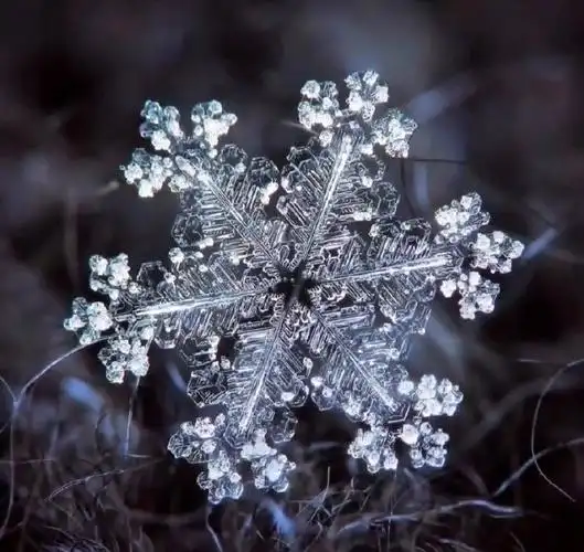 原来雪花放大后这么美