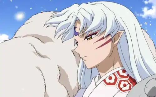 动漫中的二次元男神冷漠傲娇忠犬你想要的都在这里