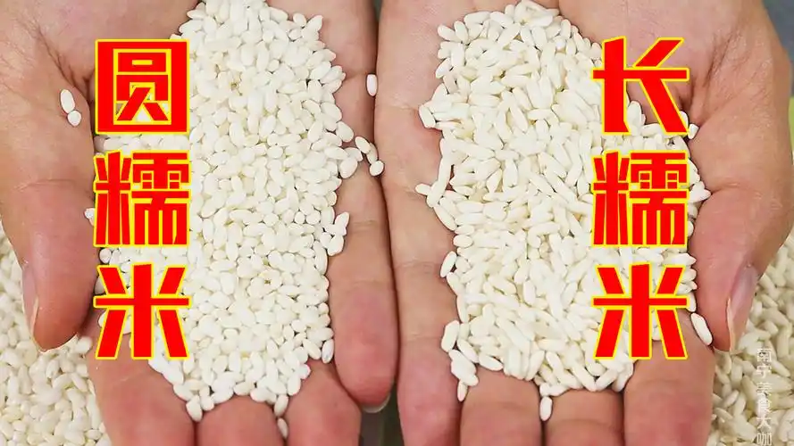 才知道,"长糯米"和"圆糯米"区别这么大,难怪煮了之后不好吃