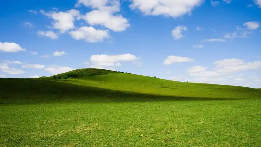 推荐几款护眼壁纸