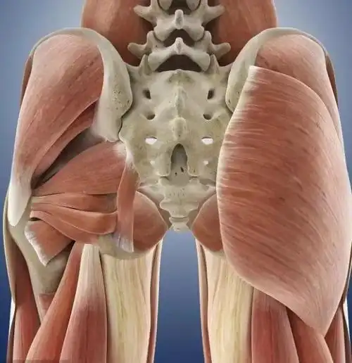 六个动作轰炸臀部,让臀部更翘!