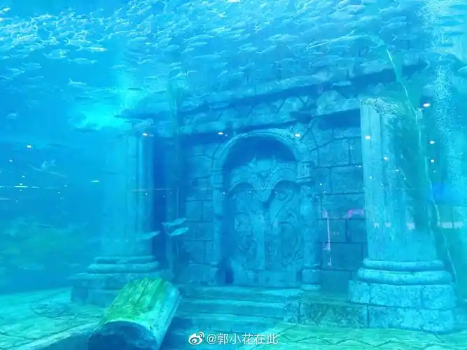 海底墓的美人鱼0469♀150469♂15继续追《盗墓笔记》去了