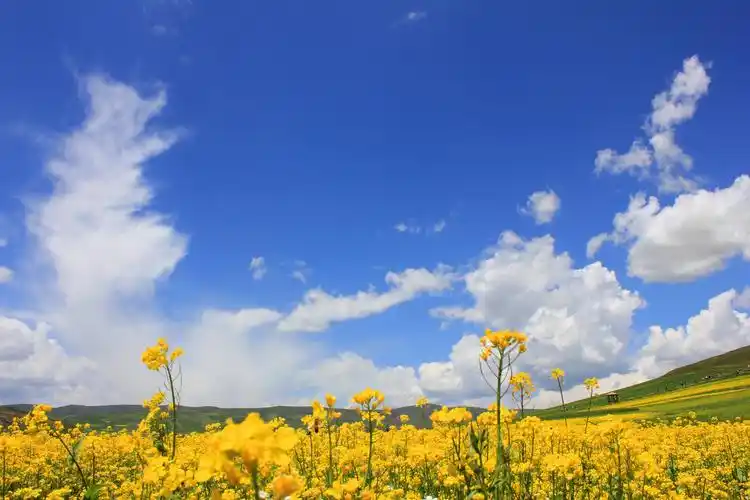 国内自然风景最美的地方是哪里? - 知乎