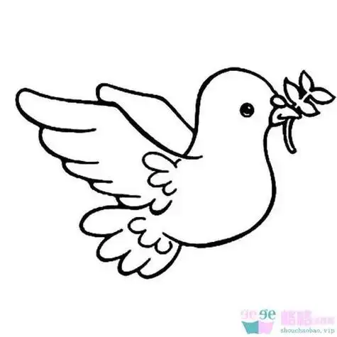 象征和平的鸽子简笔画教案
