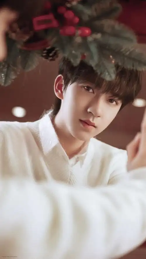 style星时尚专题##贺峻霖 fashion plate##贺峻霖 十八长翎破青空