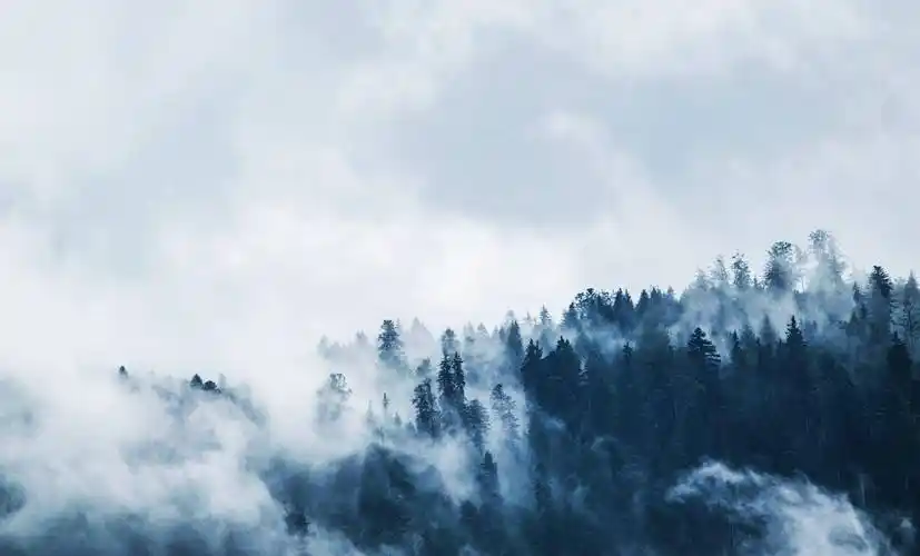 一个人越来越有钱的征兆:干净