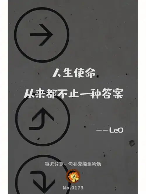 人生使命从来都不止一种答案